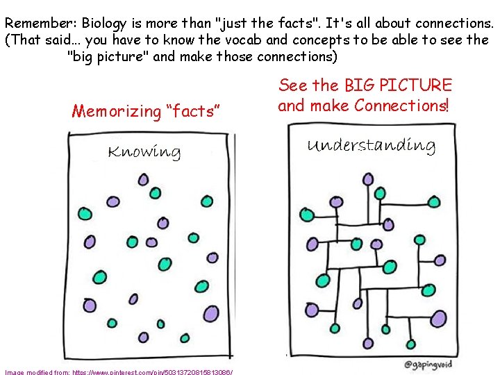 Remember: Biology is more than "just the facts". It's all about connections. (That said.