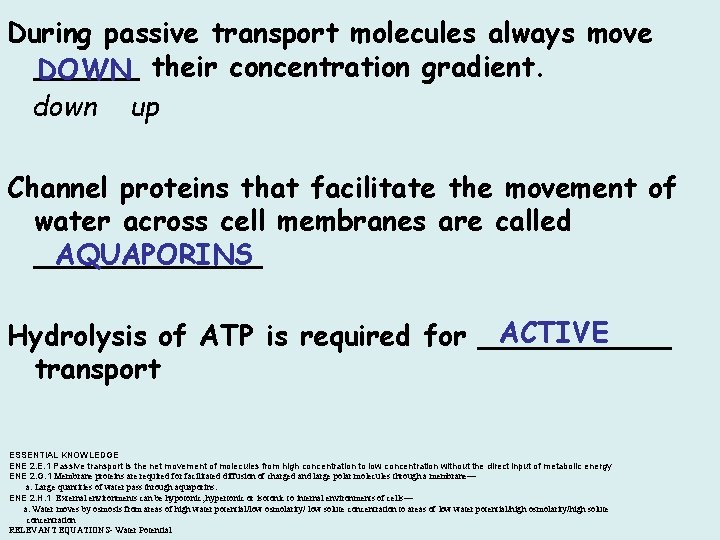 During passive transport molecules always move ______ DOWN their concentration gradient. down up Channel