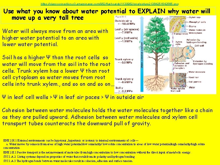 https: //classconnection. s 3. amazonaws. com/962/flashcards/1130962/png/picture 21364251542565. png Use what you know about water