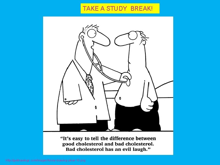 TAKE A STUDY BREAK! http: //getdrawings. com/images/funny-drawing-jokes-10. png 