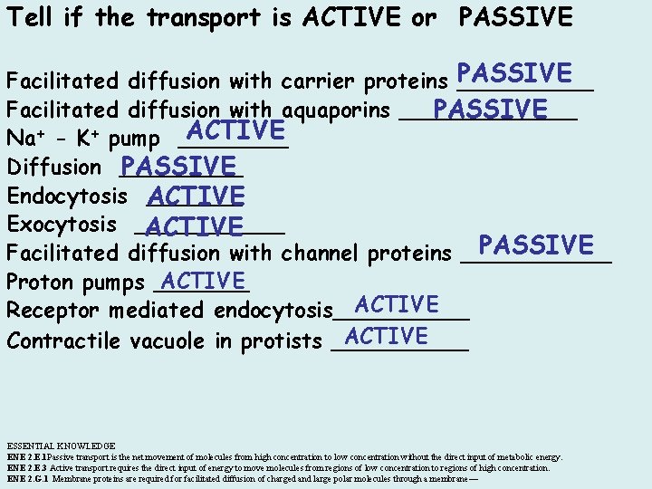 Tell if the transport is ACTIVE or PASSIVE Facilitated diffusion with carrier proteins _____