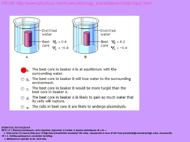 FROM: http: //www. phschool. com/science/biology_place/labbench/lab 1/quiz. html ESSENTIAL KNOWLEDGE ENE 2. H. 1 External