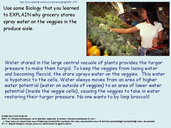 http: //www. painetworks. com/photos/gt/gt 0461. JPG Use some Biology that you learned to EXPLAIN