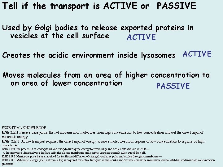 Tell if the transport is ACTIVE or PASSIVE Used by Golgi bodies to release