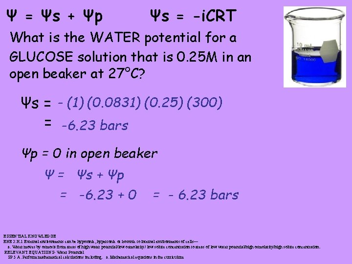 Ψ = Ψs + Ψp Ψs = -i. CRT What is the WATER potential