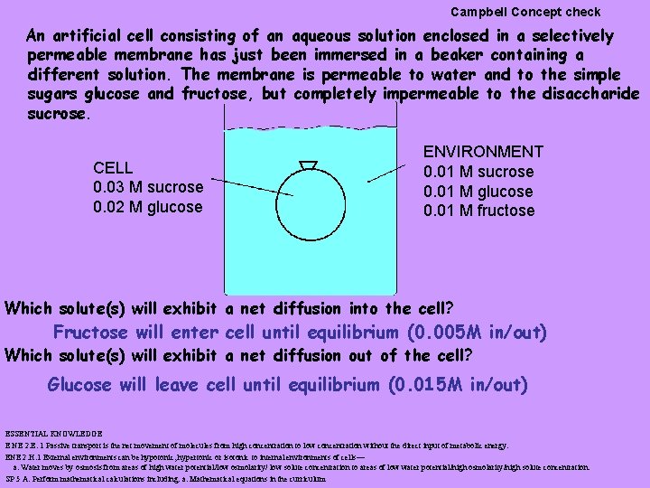 Campbell Concept check An artificial cell consisting of an aqueous solution enclosed in a