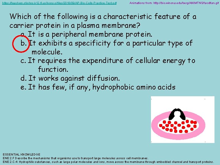 https: //teachers. stjohns. k 12. fl. us/lyons-s/files/2018/09/AP-Bio-Cells-Practice-Test. pdf Animations from: http: //bio. winona. edu/berg/ANIMTNS/facdifan.