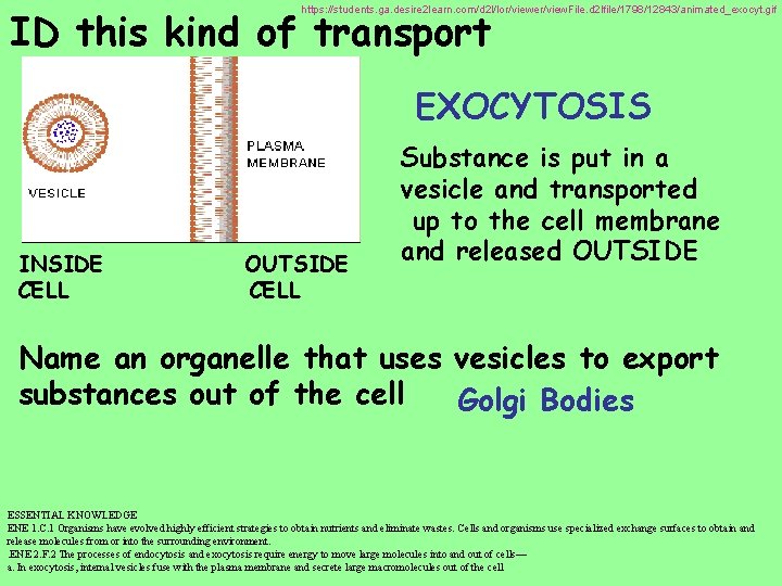 ID this kind of transport https: //students. ga. desire 2 learn. com/d 2 l/lor/viewer/view.