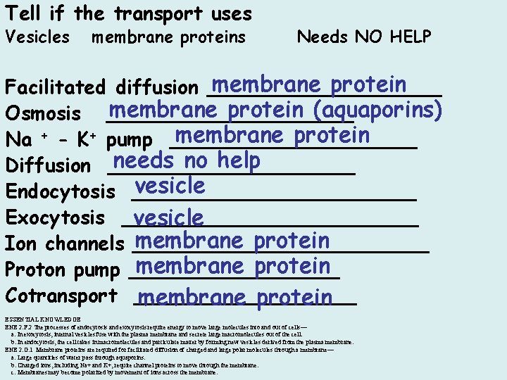 Tell if the transport uses Vesicles membrane proteins Needs NO HELP membrane protein Facilitated