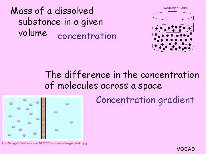 Mass of a dissolved substance in a given volume concentration Image by KRiedell The