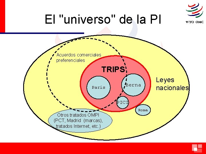 El "universo" de la PI Acuerdos comerciales preferenciales TRIPS Paris Berna PICI Roma Otros