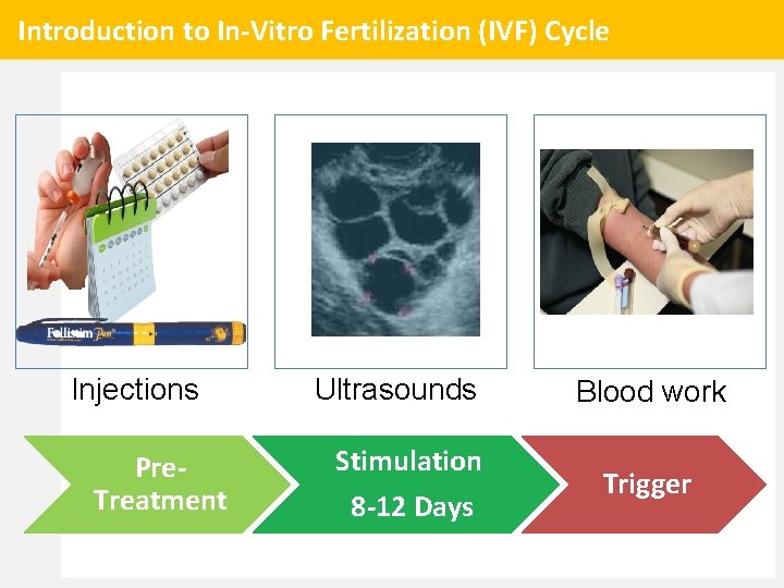 Introduction to In-Vitro Fertilization (IVF) Cycle Injections Pre. Treatment Ultrasounds Stimulation 8 -12 Days