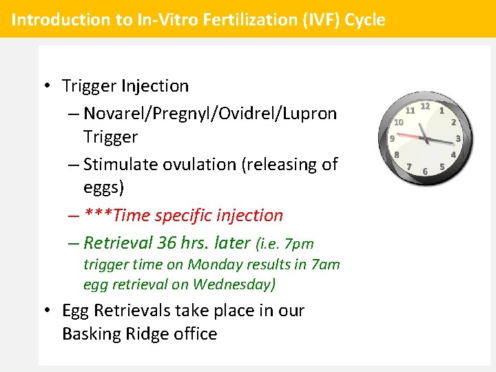 Introduction to In-Vitro Fertilization (IVF) Cycle • Trigger Injection – Novarel/Pregnyl/Ovidrel/Lupron Trigger – Stimulate