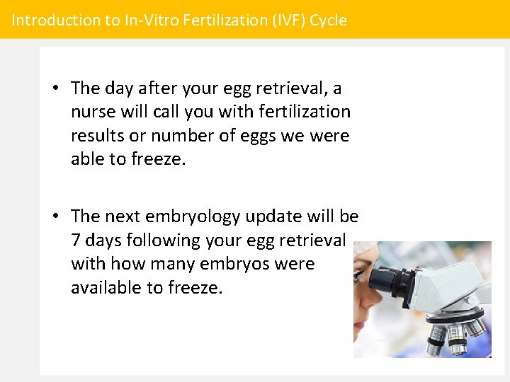 Introduction to In-Vitro Fertilization (IVF) Cycle • The day after your egg retrieval, a