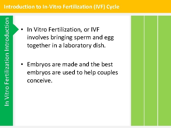 In Vitro Fertilization Introduction to In-Vitro Fertilization (IVF) Cycle • In Vitro Fertilization, or