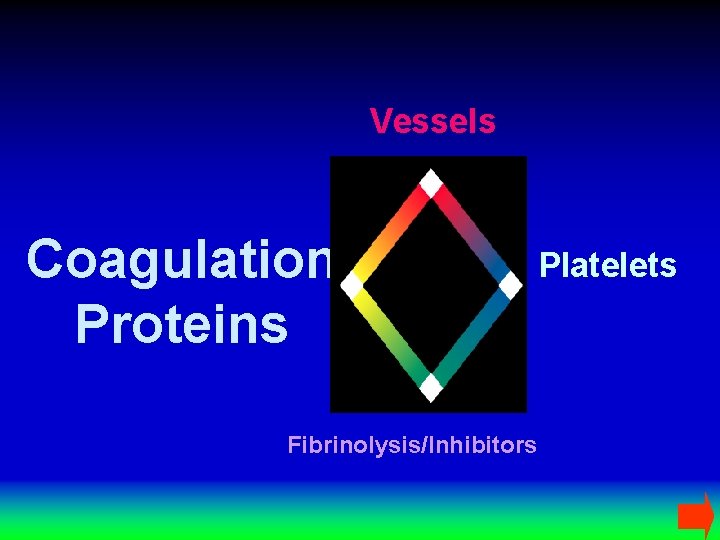 Vessels Coagulation Proteins Fibrinolysis/Inhibitors Platelets 