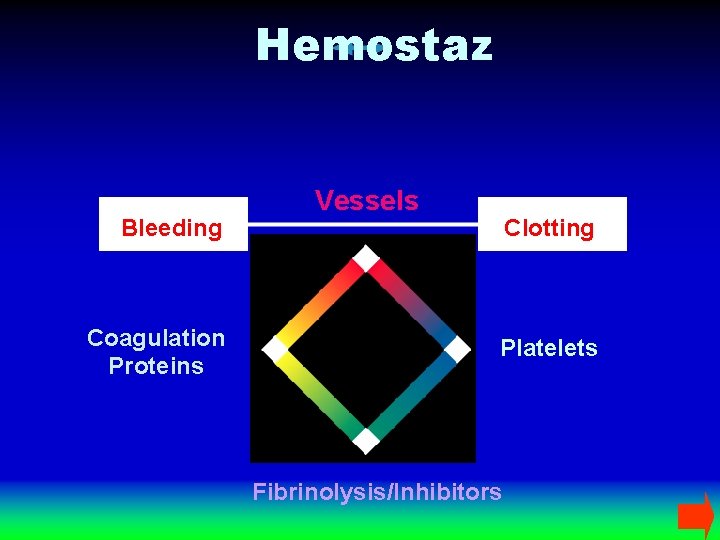 Hemostaz Bleeding Coagulation Proteins Vessels Clotting Platelets Fibrinolysis/Inhibitors 