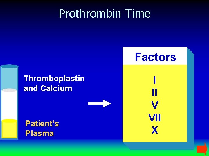 Prothrombin Time Factors Thromboplastin and Calcium Patient’s Plasma I II V VII X 