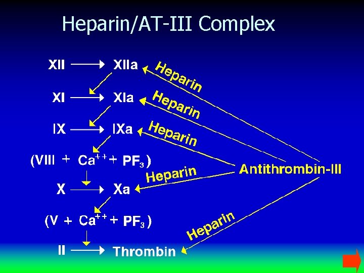 Heparin/AT-III Complex 