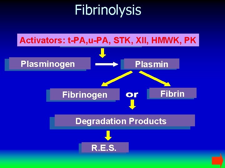 Fibrinolysis Activators: t-PA, u-PA, STK, XII, HMWK, PK Plasminogen Plasmin Fibrinogen Fibrin Degradation Products