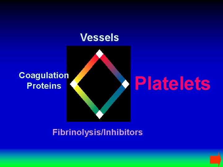 Vessels Coagulation Proteins Platelets Fibrinolysis/Inhibitors 