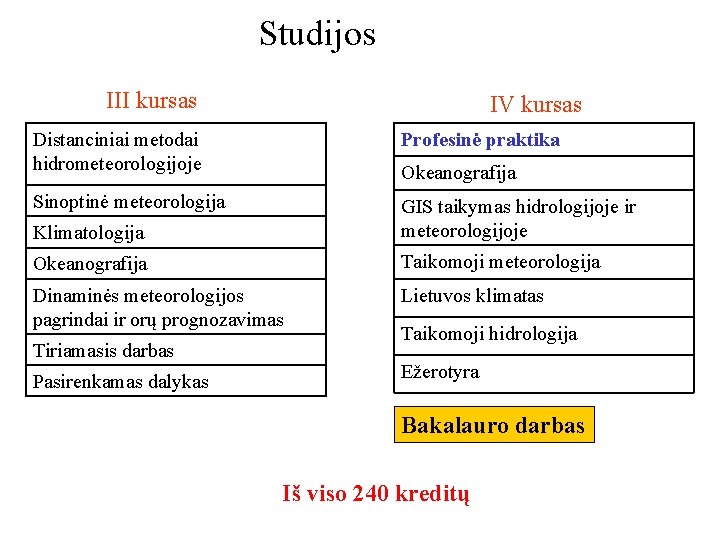 Studijos III kursas IV kursas Distanciniai metodai hidrometeorologijoje Profesinė praktika Sinoptinė meteorologija Klimatologija GIS