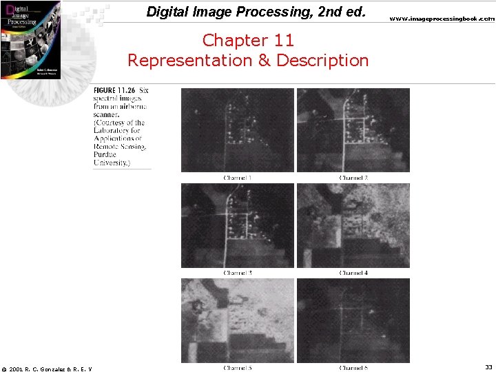 Digital Image Processing, 2 nd ed. www. imageprocessingbook. com Chapter 11 Representation & Description