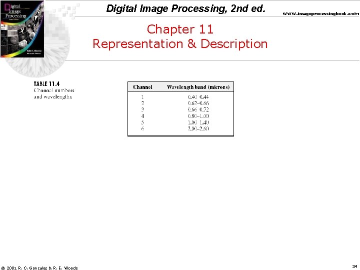 Digital Image Processing, 2 nd ed. www. imageprocessingbook. com Chapter 11 Representation & Description
