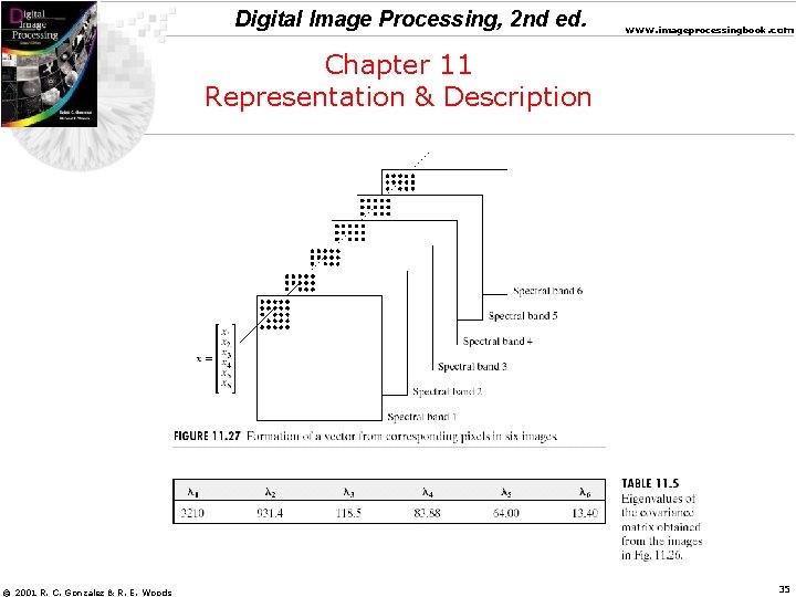 Digital Image Processing, 2 nd ed. www. imageprocessingbook. com Chapter 11 Representation & Description