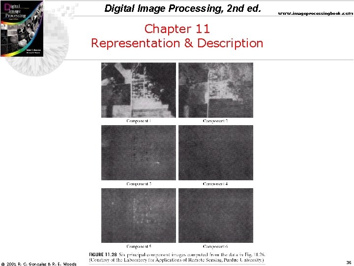 Digital Image Processing, 2 nd ed. www. imageprocessingbook. com Chapter 11 Representation & Description