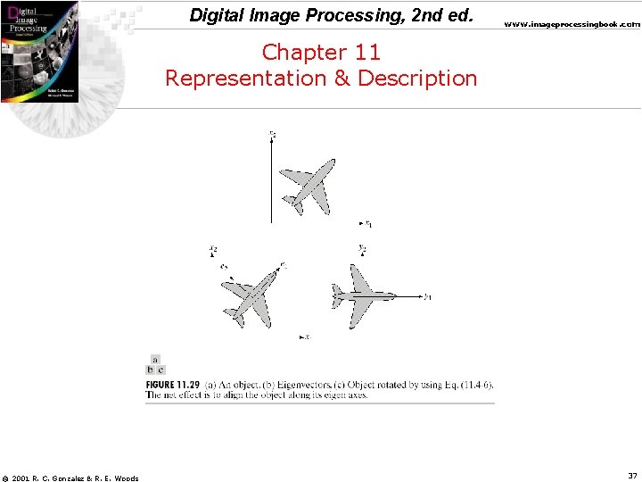Digital Image Processing, 2 nd ed. www. imageprocessingbook. com Chapter 11 Representation & Description