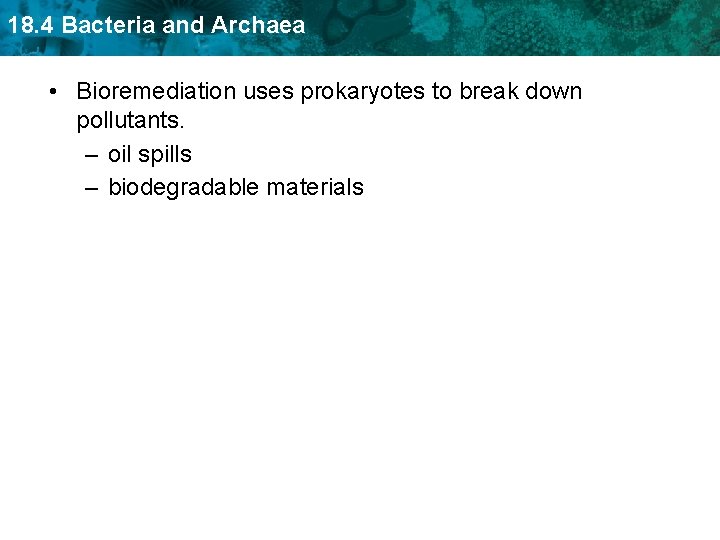 18. 4 Bacteria and Archaea • Bioremediation uses prokaryotes to break down pollutants. –