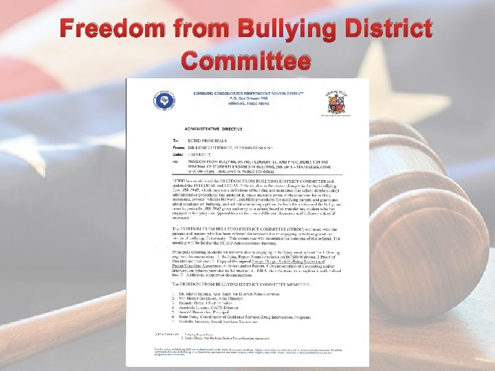 Freedom from Bullying District Committee 