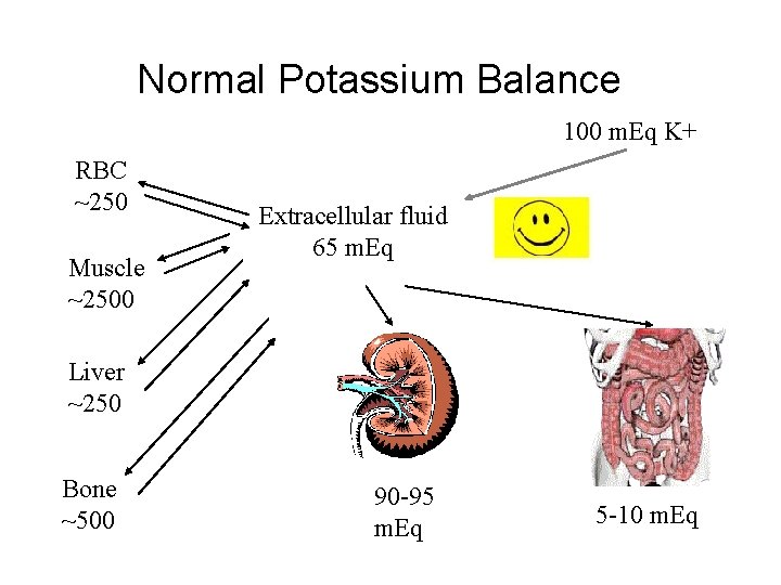 Normal Potassium Balance 100 m. Eq K+ RBC ~250 Muscle ~2500 Extracellular fluid 65