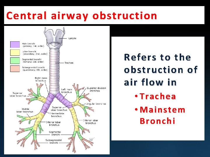 Central airway obstruction Refers to the obstruction of air flow in • Trachea •
