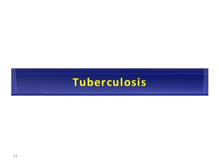 Tuberculosis 54 