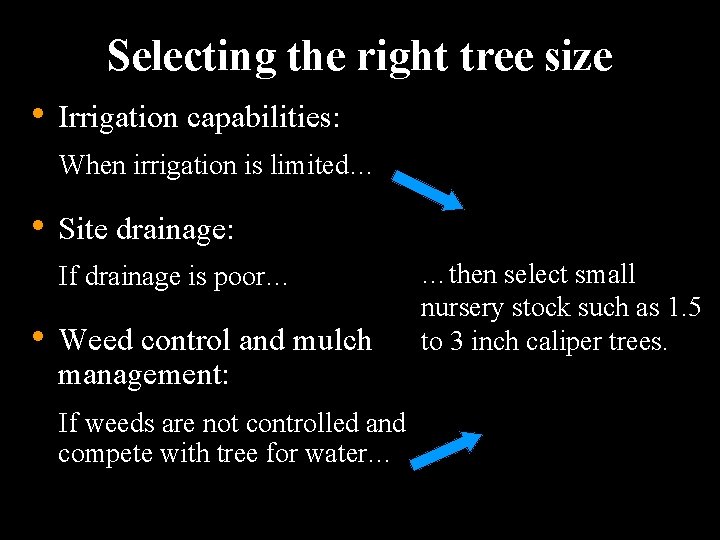 Selecting the right tree size • Irrigation capabilities: When irrigation is limited… • Site