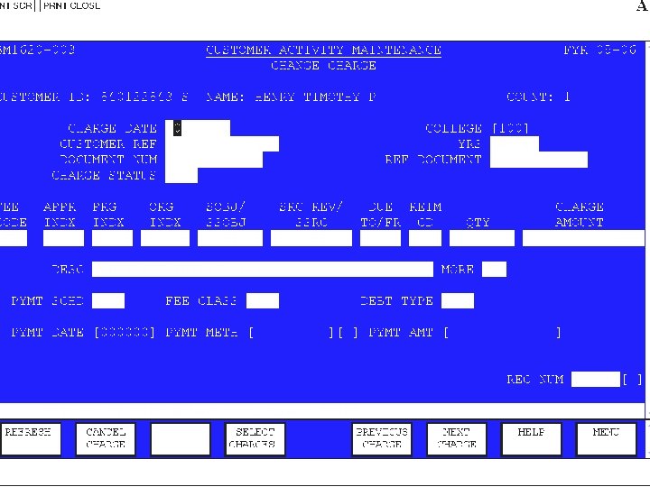 Customer Accounts Database Accounting Entries Debt Type Hierarchy 