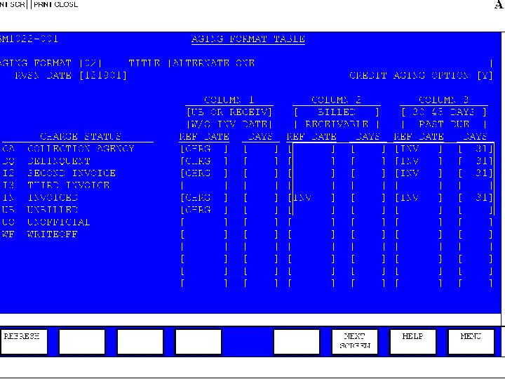 Customer Accounts Reports Customer Accounts Aging Report-BM 1710 What do you want to see?