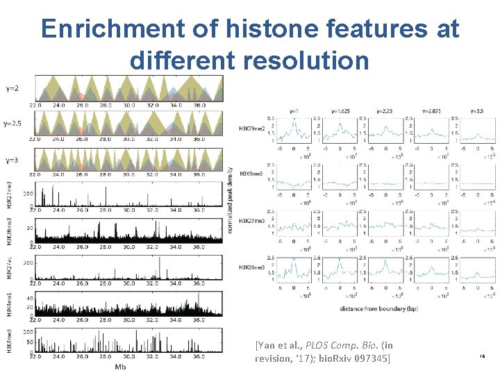 Enrichment of histone features at different resolution [Yan et al. , PLOS Comp. Bio.