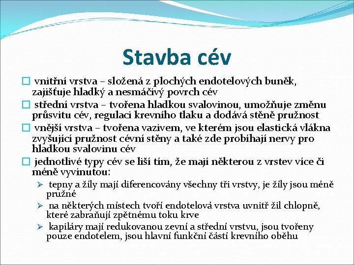 Stavba cév � vnitřní vrstva – složená z plochých endotelových buněk, zajišťuje hladký a