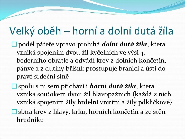 Velký oběh – horní a dolní dutá žíla � podél páteře vpravo probíhá dolní