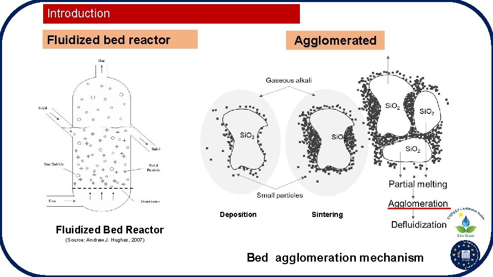 Introduction Fluidized bed reactor Agglomerated Deposition Sintering Fluidized Bed Reactor (Source: Andrew J. Hughes,