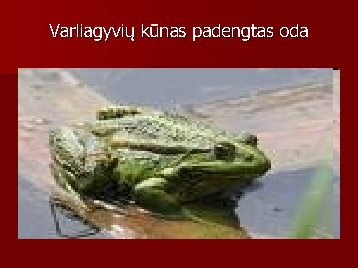 Varliagyvių kūnas padengtas oda 