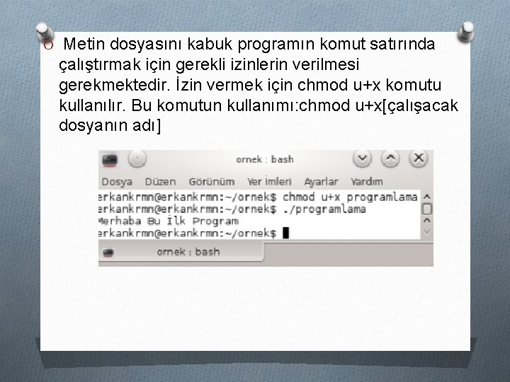 O Metin dosyasını kabuk programın komut satırında çalıştırmak için gerekli izinlerin verilmesi gerekmektedir. İzin