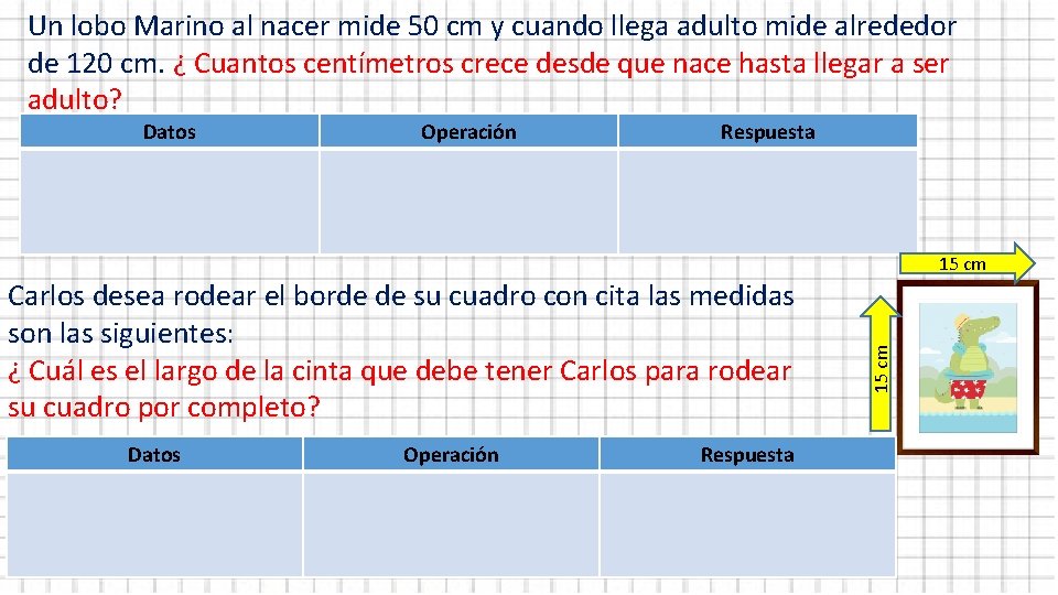 Un lobo Marino al nacer mide 50 cm y cuando llega adulto mide alrededor