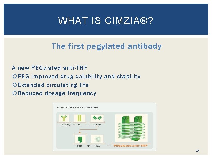 WHAT IS CIMZIA®? The first pegylated antibody A new PEGylated anti-TNF PEG improved drug