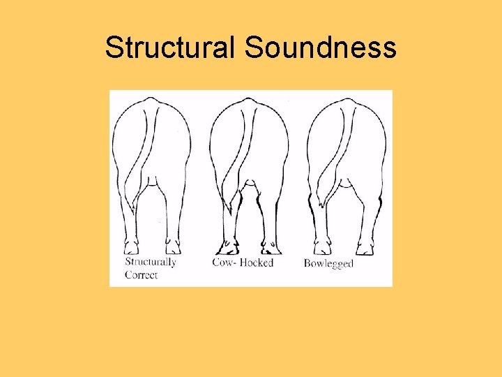 Structural Soundness 