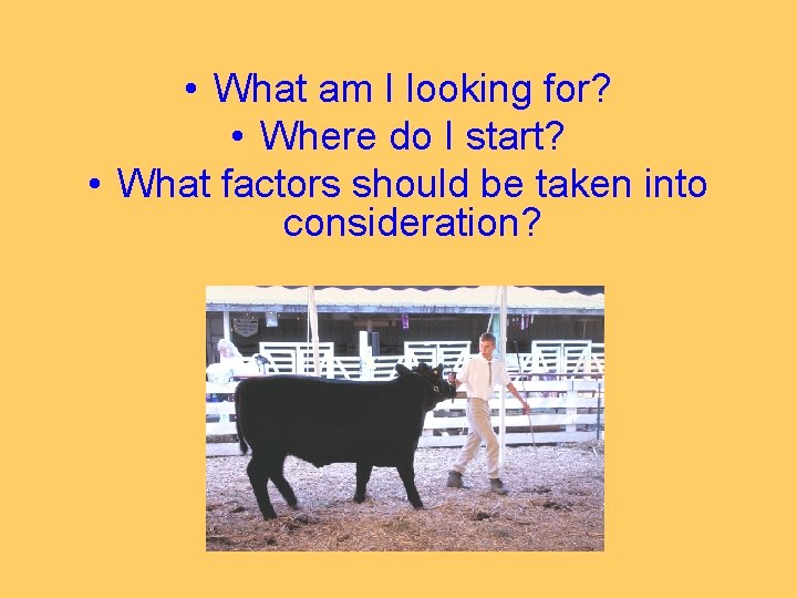  • What am I looking for? • Where do I start? • What