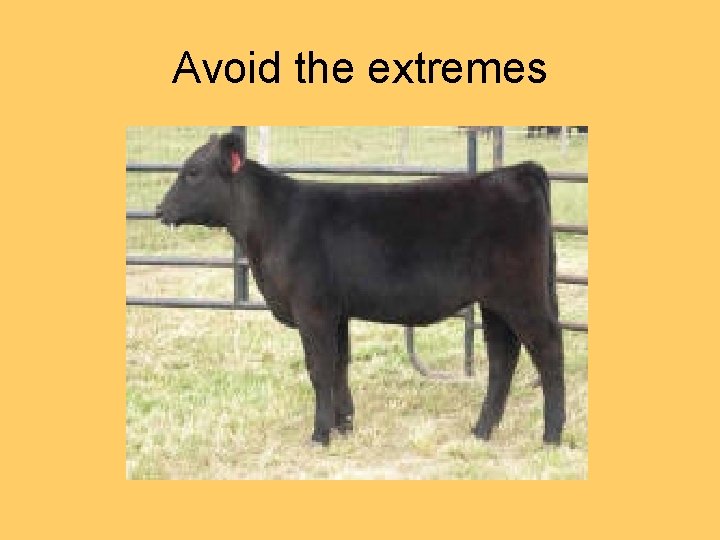 Avoid the extremes 